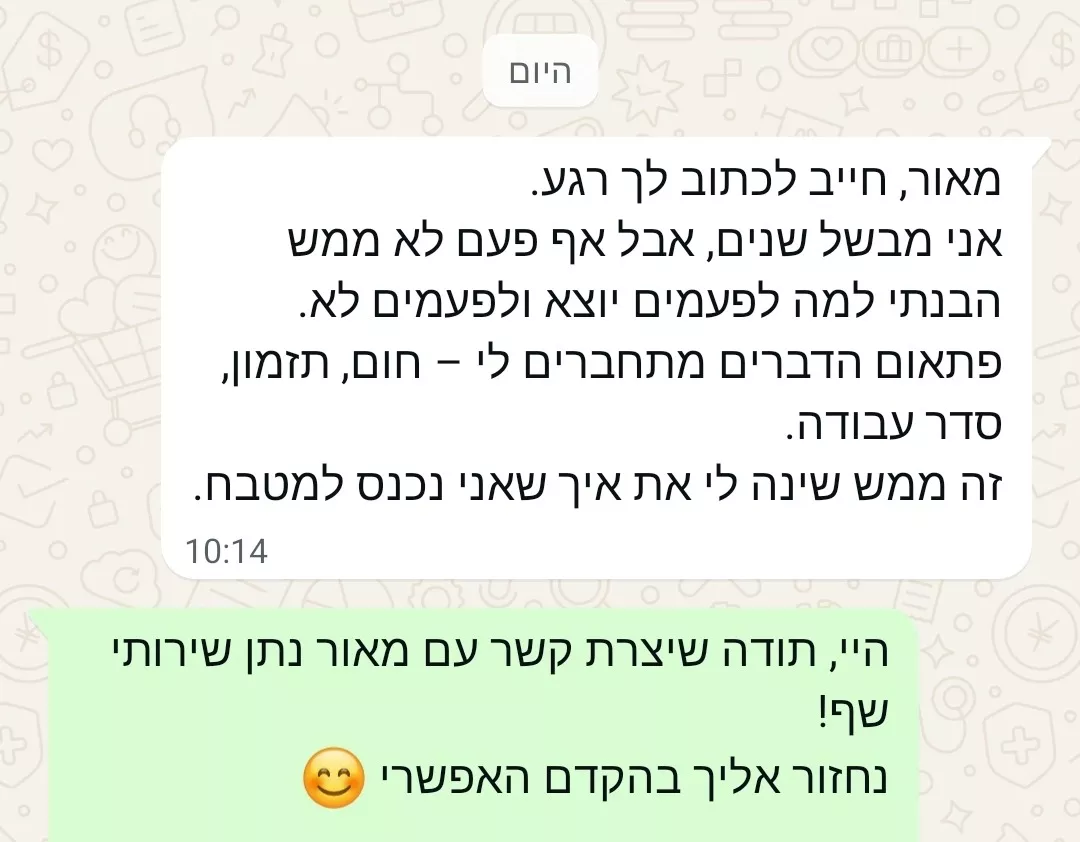 המלצה 2