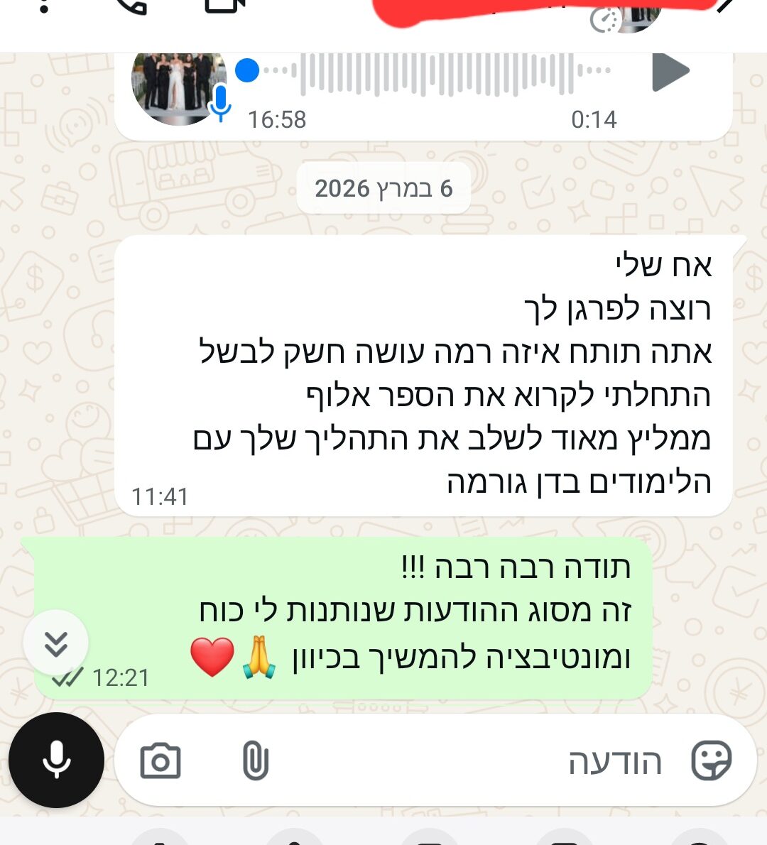 המלצה 5